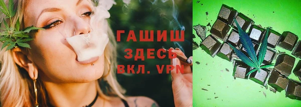 стаф Кинешма