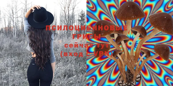 стаф Кинешма