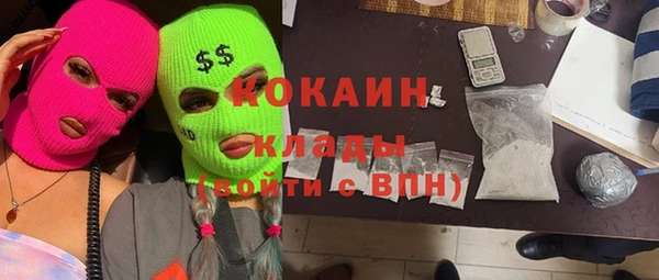шишки Киреевск