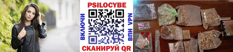 Псилоцибиновые грибы Psilocybine cubensis Гвардейск