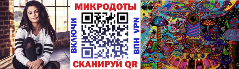Купить закладки  Гвардейск  Галлюциногенные грибы Psilocybine cubensis 